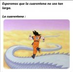 cuarentena larga v2.jpg