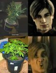 planta es salud siempre.jpeg