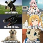 japon vs normal formes.jpg