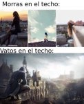 morras y vatos en el techo.jpg