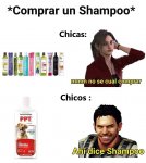 hay dice champoo.jpg