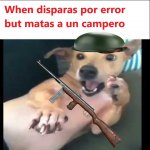 matas a un camper.jpg