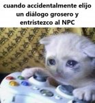 NPC sad.jpg