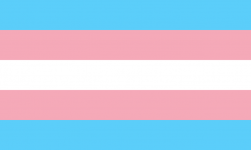 1024px-Transgender_Pride_flag.svg.png