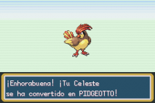 pidgeotto 2.png