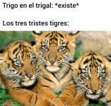 Trigo existe y los 3 tristes tigres completo.jpeg