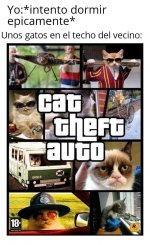 Cat Theft Auto.jpeg