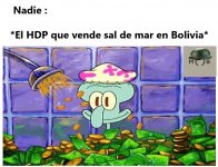 Nadie y el HDP que vende sal de mar en Bolivia .jpg
