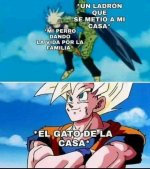 Un ladron el perro dando la vida y el gato de la casa.jpg