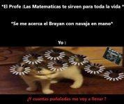 Meme completo el Brayan original.jpg
