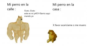 Mi perro diferencias .jpg
