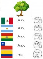 meme Arbol.jpeg