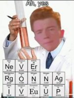 meme rickroll v2.jpeg