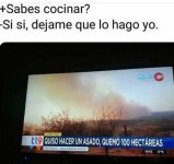 EL que sabe ,sabe prros.jpeg