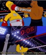 meme el parcial y yo.jpg