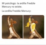 Ardilla Freddie.jpeg