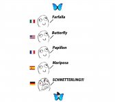 meme mariposa.jpeg