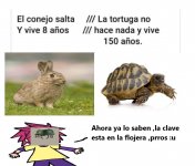la clave esta en la flojera ,prros .jpg