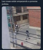 las cosas se pone feas en le barrio.jpeg