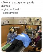 los caninos meme.jpeg