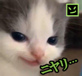 1638618884845.png
