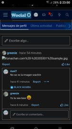 Screenshot_20220402-230017_Samsung Internet.jpg
