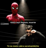 1651081164040.png