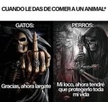 cuando les das de comer a los animales.jpeg