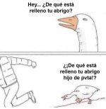 de que esta relleno tu abrigo ,prro.jpeg