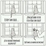 Suele pasar prros 2.jpeg