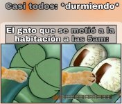 casi todos durmiendo y el gato que se metio a la habitacion a las 5am.jpeg