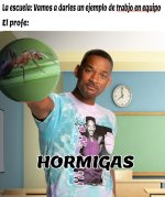 trabajo en equipo y hormigas.jpeg