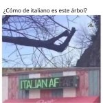 Como de tu arbol es italiano.jpg