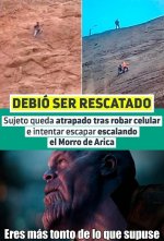 eres mas tonto de lo que supuse.jpeg