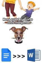 el perro se volvio inteligente.jpg