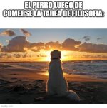 el perro luego de comerse la tarea de filosofia.jpg
