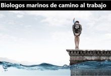 Biologos marinos de camino al trabajo completo original mob .jpg