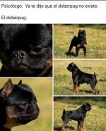 el doberpug.jpg