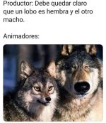 el productor el le diferencia entre lobos macho y hembra y los animadores.jpeg
