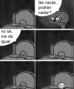 las vacas nadan completo.jpg