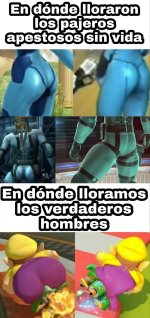 le nerfearon al wario.jpg