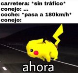 MEME CONEJO.jpg