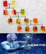 genetic meme.jpg