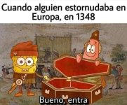 Cuando aguien estornuda en Europa ,en 1348.jpeg