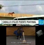 meme juan responsable completo original mob .jpg