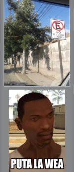 pta la wea.jpg