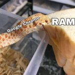 google y la ram.jpeg