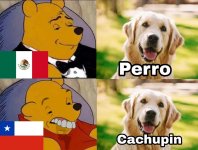 perro meme.jpg