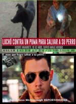 defiende a su perro completo .jpg