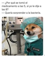 queria sorprender a la bacteria.jpg